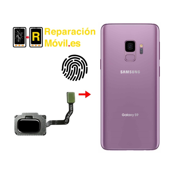 Cambiar Flex De Huella Samsung S9