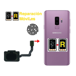 Cambiar Flex De Huella Samsung S9 Plus
