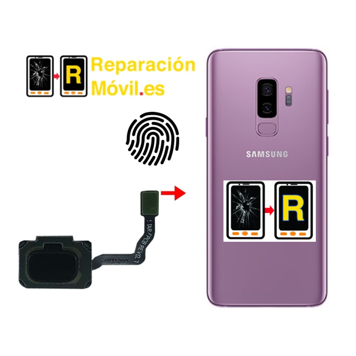 Cambiar Flex De Huella Samsung S9 Plus