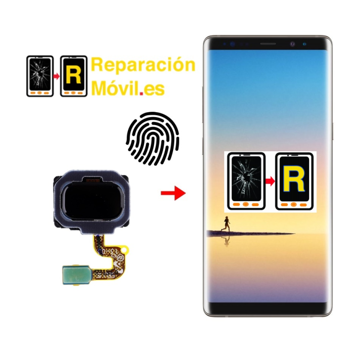 Cambiar Sensor De Huella Samsung Note 8