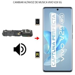 Cambiar Altavoz de Música Vivo V29 5G