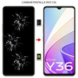 Cambiar Pantalla Vivo Y36