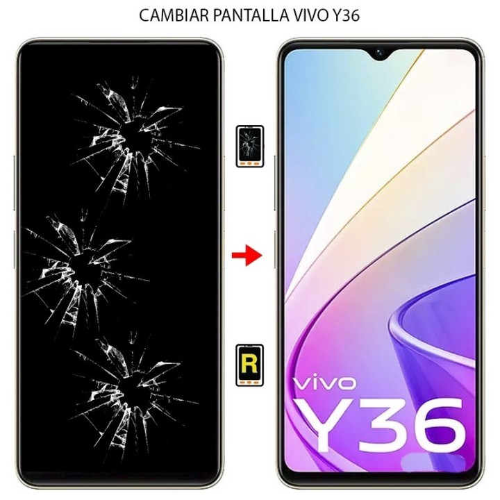 Cambiar Pantalla Vivo Y36