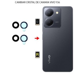 Cambiar Cristal Cámara Trasera Vivo Y36