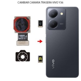 Cambiar Cámara Trasera Vivo Y36