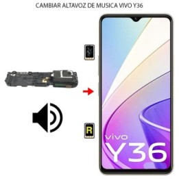 Cambiar Altavoz de Música Vivo Y36