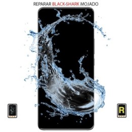 Reparar Black Shark 5 RS Mojado