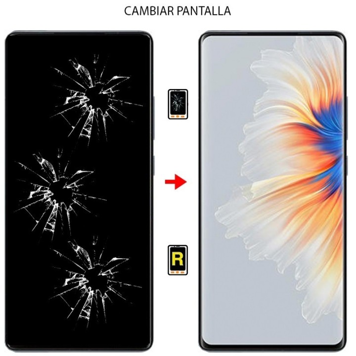 Cambiar Pantalla Xiaomi Mi Mix 4