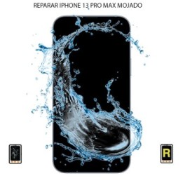 Reparar Mojado iPhone 13 Pro Max