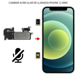 Cambiar Auricular de llamada iPhone 12 Mini