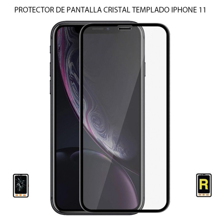 Protector de Pantalla Para iPhone 11