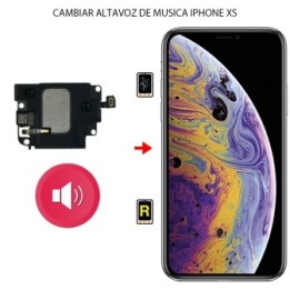 Cambiar Altavoz de Llamada iPhone XS