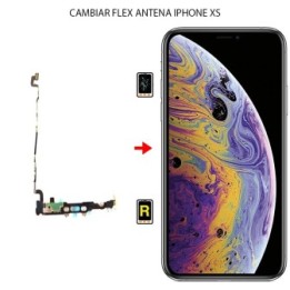 Cambiar Antena Wifi iPhone XS