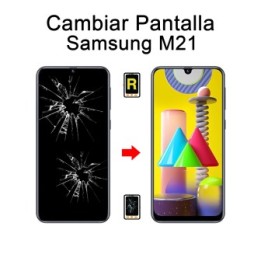 Cambiar Pantalla Samsung Galaxy M21 Original