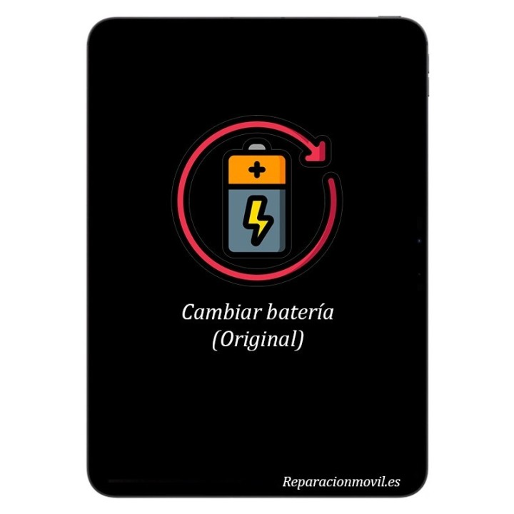 Cambiar Batería Apple iPad Air 13 2024 Original