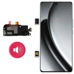 Cambiar Altavoz de Música Realme GT 6 en Madrid