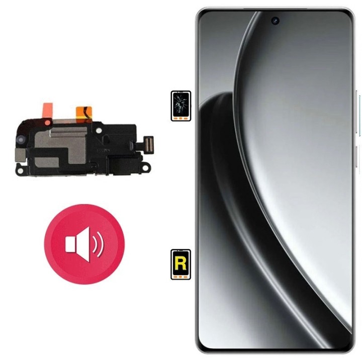 Cambiar Altavoz de Música Realme GT 6T en Madrid