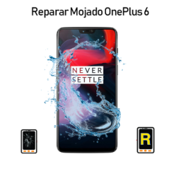 Reparar Oneplus 6 Mojado