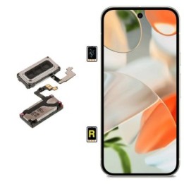 Cambiar Auricular de Llamada Google Pixel 9 en Madrid