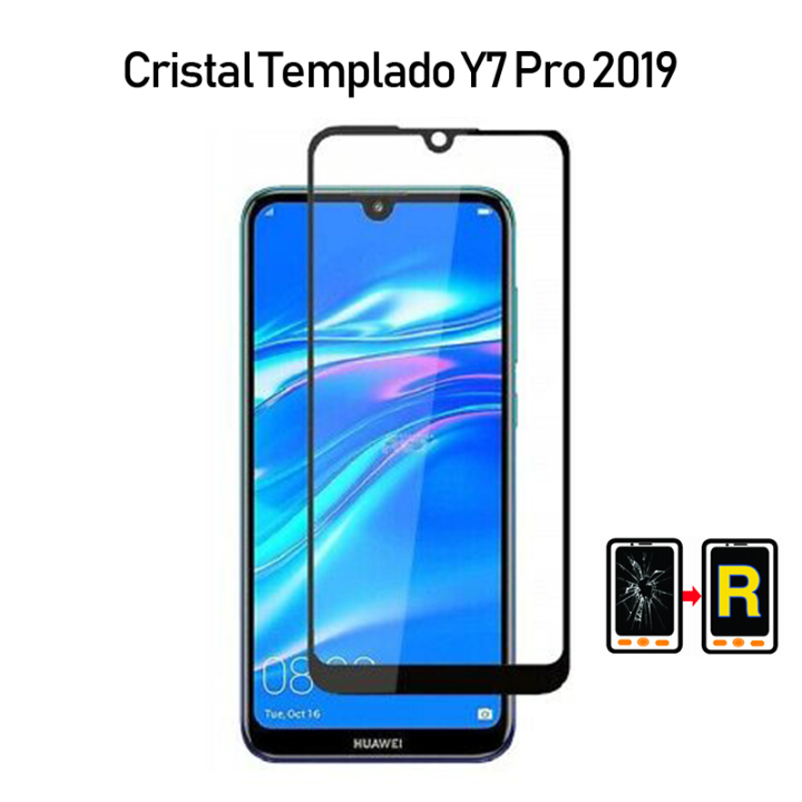 Protector De Pantalla Hidrogel Ultra Calidad