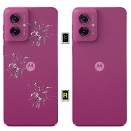 Cambiar Tapa Trasera Motorola Moto G55 5G