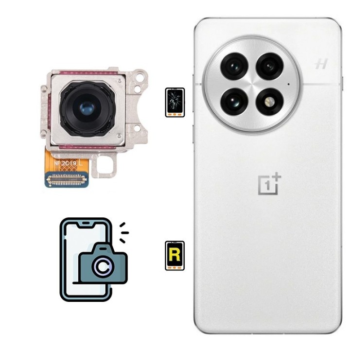 Cambiar Cámara Trasera OnePlus 13R Madrid