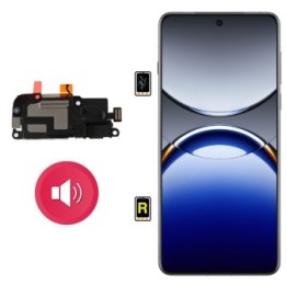 Cambiar Altavoz de Música OnePlus 13R Madrid