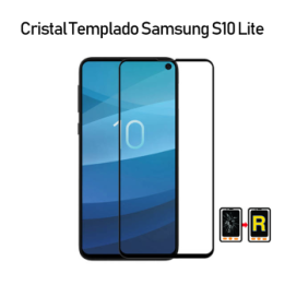 Protector De Pantalla Para Samsung Galaxy S10 Lite