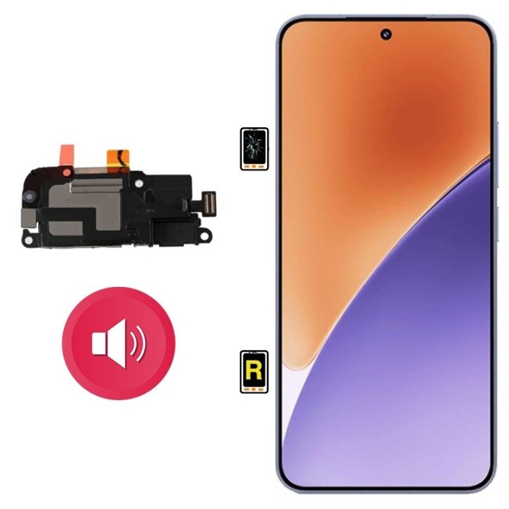 Cambiar Altavoz de Música Xiaomi 15 Madrid