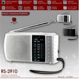 RADIO SAMI RS-2910