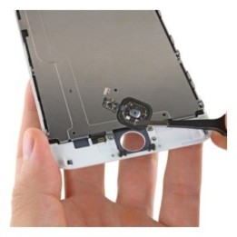 Cambiar Bóton Home iPhone 6S Plus