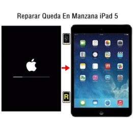 Reparar Queda En Manzana iPad 5 2017