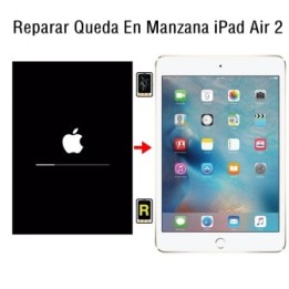 Reparar Queda En Manzana iPad Air 2