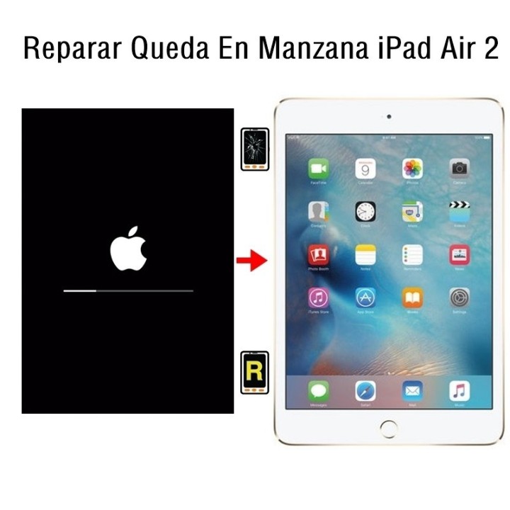 Reparar Queda En Manzana iPad Air 2