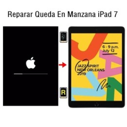 Reparar Queda En Manzana iPad 7 2019