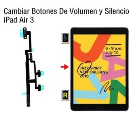 Cambiar Botones De Volumen y Silencio iPad Air 3