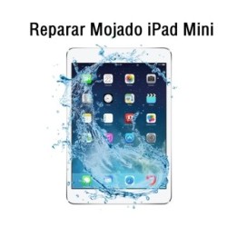 Reparar Mojado iPad Mini