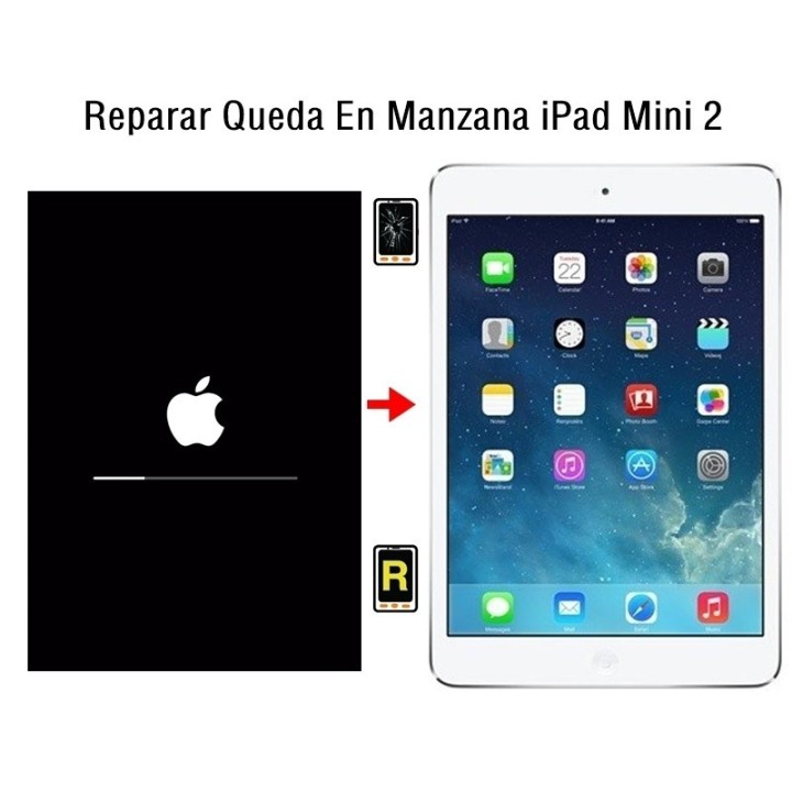 Reparar Queda En Manzana iPad Mini 2