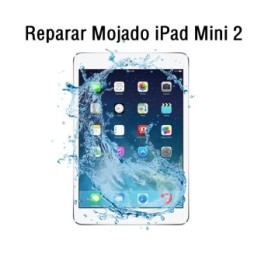 Reparar Mojado iPad Mini 2