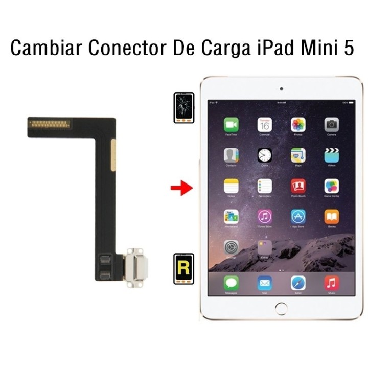 Cambiar Conector De Carga iPad Mini 5