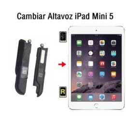 Cambiar Altavoz iPad Mini 5