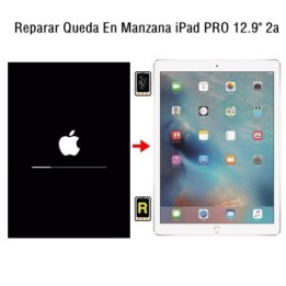 Reparar Queda En Manzana iPad Pro 12.9 2017