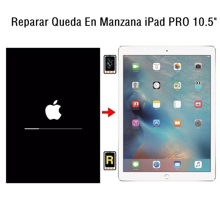 Reparar Queda En Manzana iPad Pro 10.5