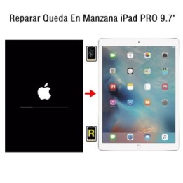 Reparar Queda En Manzana iPad Pro 9.7
