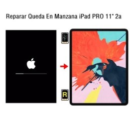 Reparar Queda En Manzana iPad Pro 11 2020