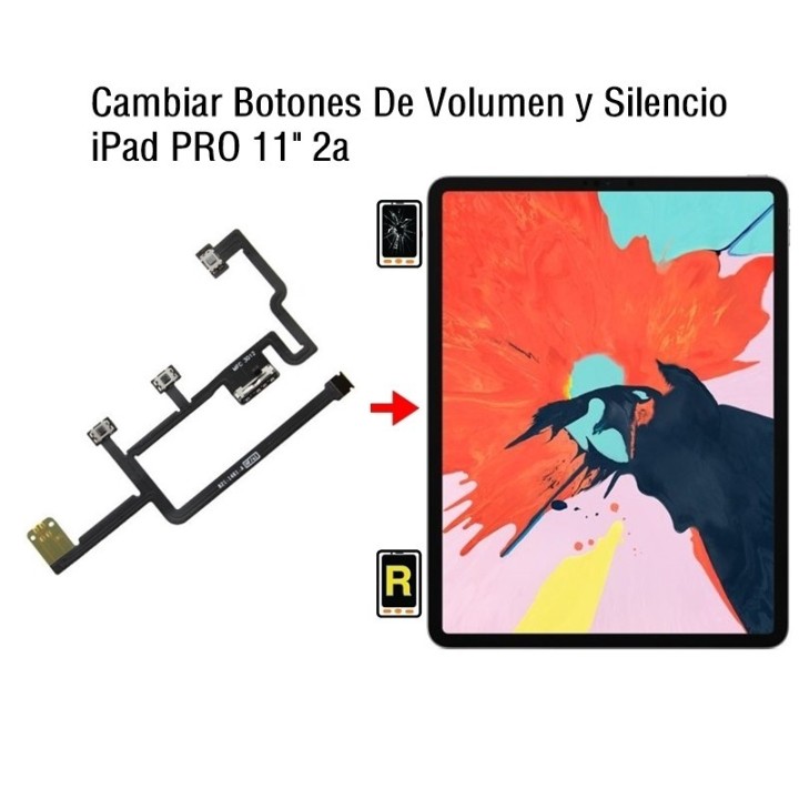 Cambiar Botones De Volumen y Silencio iPad Pro 11 2020