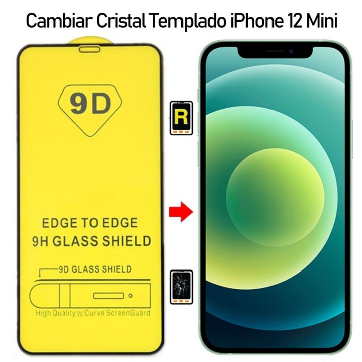 Protector De Pantalla iPhone 11 Pro Max