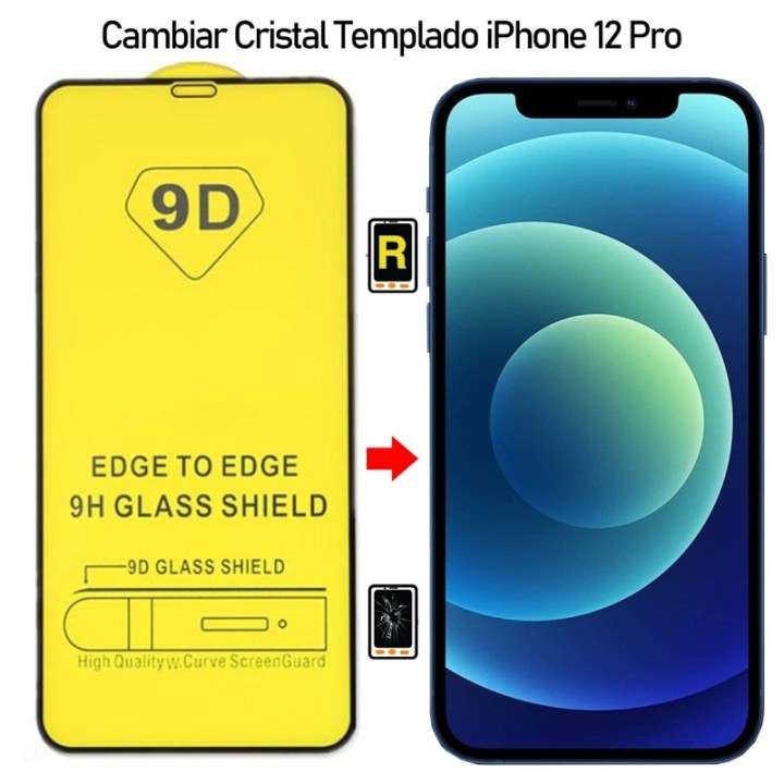 Protector De Pantalla Para iPhone 12 Pro