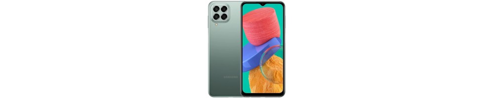 Reparar Samsung Galaxy M33 5G | Servicio Técnico Samsung Galaxy M33 5G