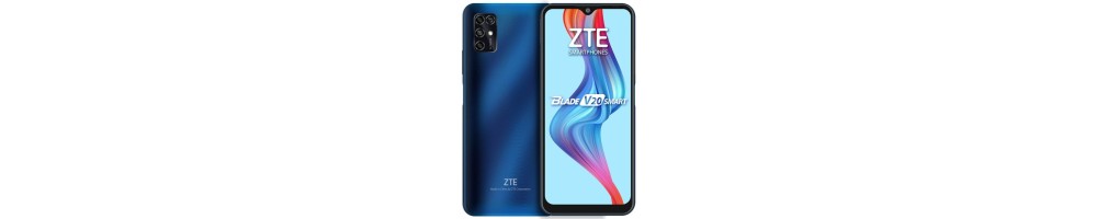 Reparar ZTE Blade V2020 | Reparación ZTE Blade V2020 | Madrid